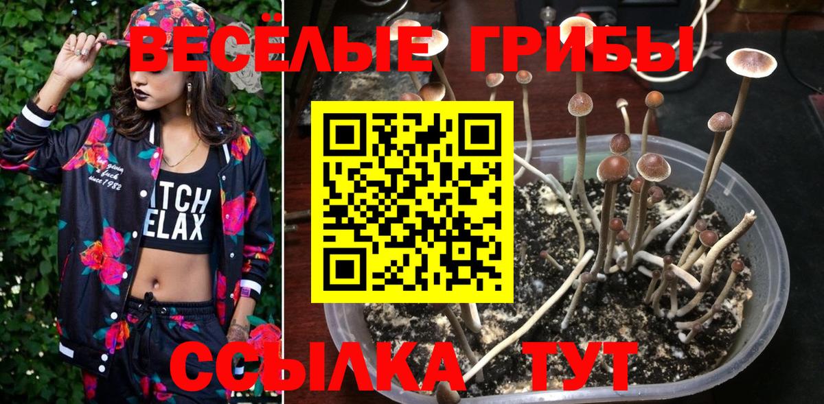 Псилоцибиновые грибы мицелий Ступино